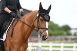 Cls 11 Team Quest Novice 30 portfolio