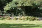 FOM_0641