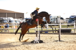 SBM_003231