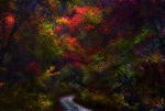 Chattahoochee Forest Georgia USA