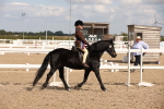 SBM_03466
