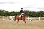 SBM_006293
