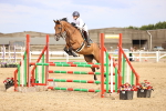 SBM_002677
