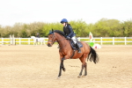 SBM_003638