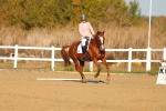 SBM_008788