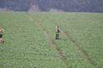 WJ7_8826