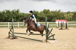 SBM_002956