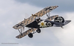 R6M25021 Albatros