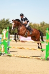 SBM_003933
