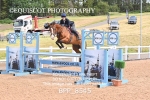 BPP_8545