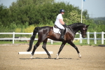 SBM_007409