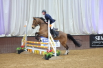SBM_009201