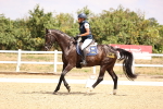 SBM_007342