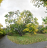 October 2019 - Arnold Arboretum Boston - Title:  Enchanted Garden