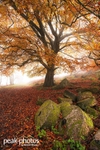 Bole-Hill-Millstones