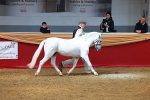 SBM_02240