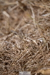 260802A-135354-07055