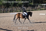 BPP_8315