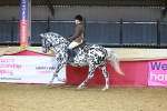 SBM_12489