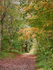 Lowther Park
