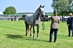 SBM_03329