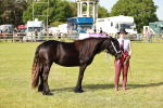 SBM_00911