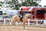 SBM_17183