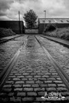 Portfolio 35