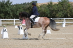 SBM_020929