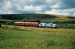29th July 2007