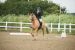 SBM_000151