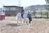 BPP_7681
