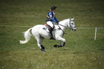 BVHT 140517  IXC -590