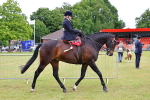 SBM_02868