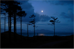 Moonlight