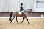 SBM_002441