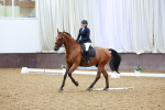 SBM_004165
