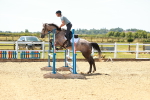 SBM_006384