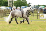 SBM_00470