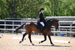 WJ6_9636