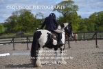 BPP_5579