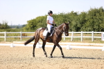 SBM_006670
