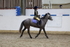 AJG_1696
