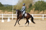 SBM_013617