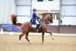 SBM_006074