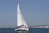 190629 PETASUS - GBR1293L D43A4631