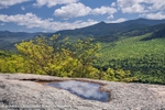 Welch Dickey Vista