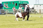 SBM_01953