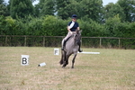 WJ6_1155