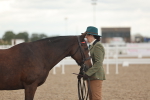 Class 26 - IH Foreign Breeds - Part Bred portfolio